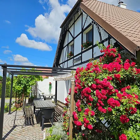 Дом отдыха Paula Плюски