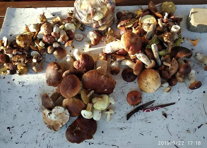 Paula Holiday home Pluski